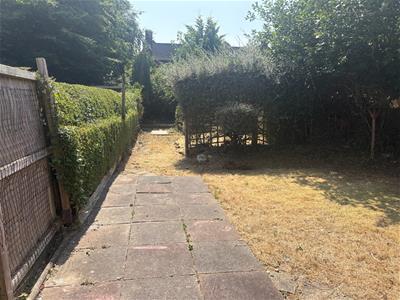 Picture 14